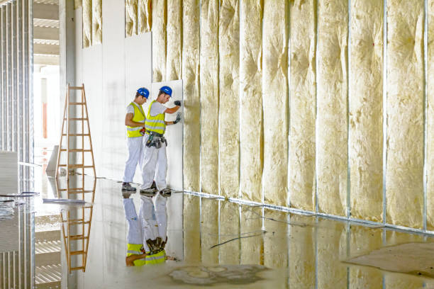 Best Insulation Maintenance and Repair in Gruver, TX